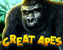 Great Apes